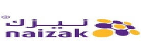 Naizak Global Engineering Systems