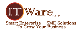 ITWARE LLC