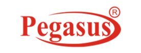 Pegasus International