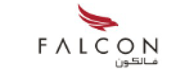 Falcon Aviation