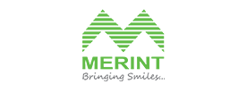 The Merint Group