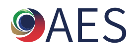 AES International