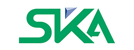 Ska International Group