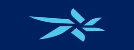 Al-Suwaidi Holding Company