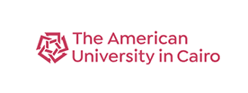 The American University In Cairo