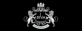 Diva Dubai Model Agency and Events